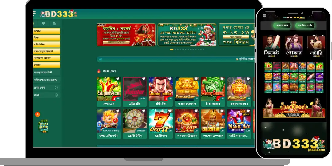 BD333 23 interface bd333